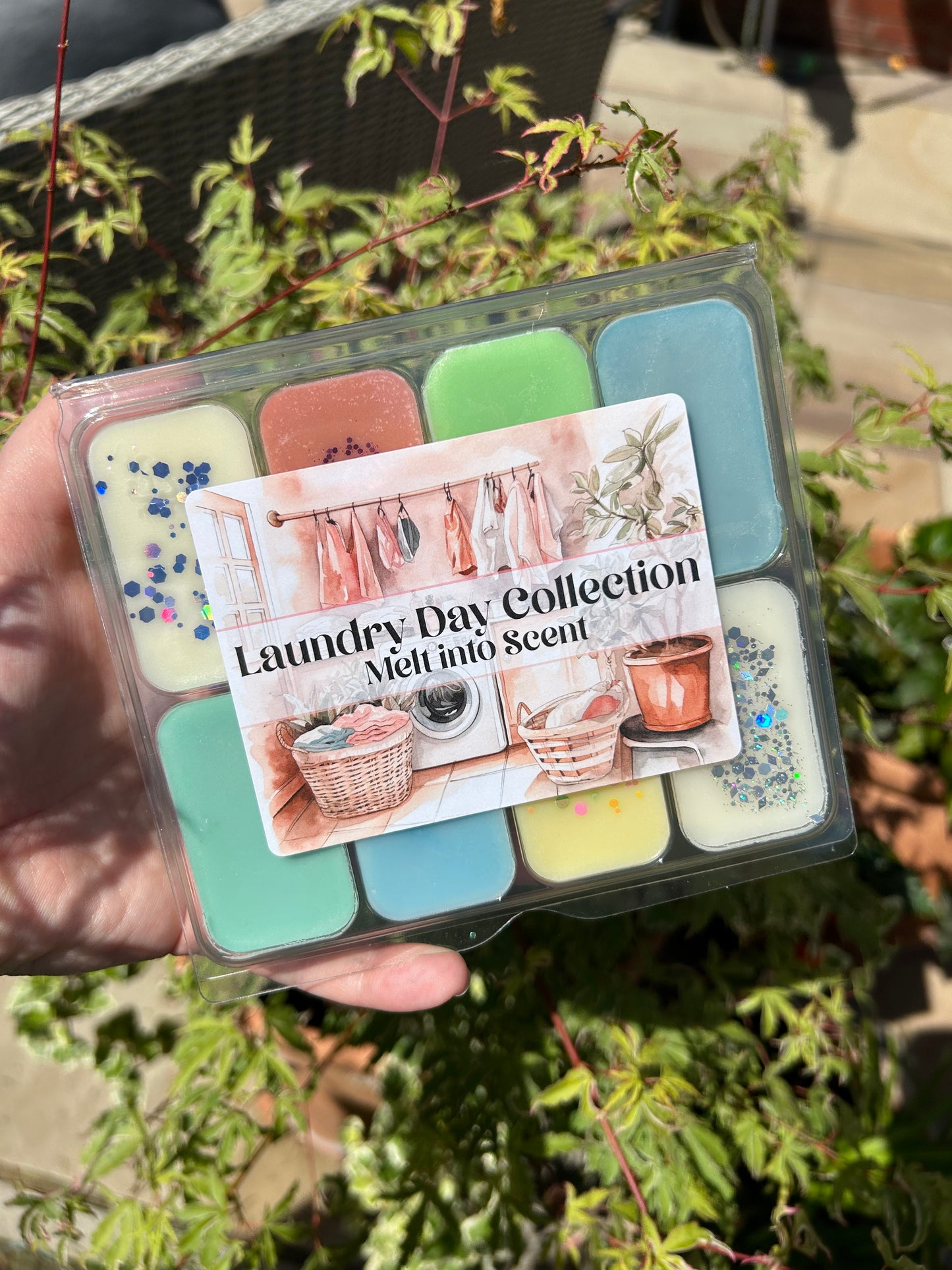 Wax Melt Variety Box