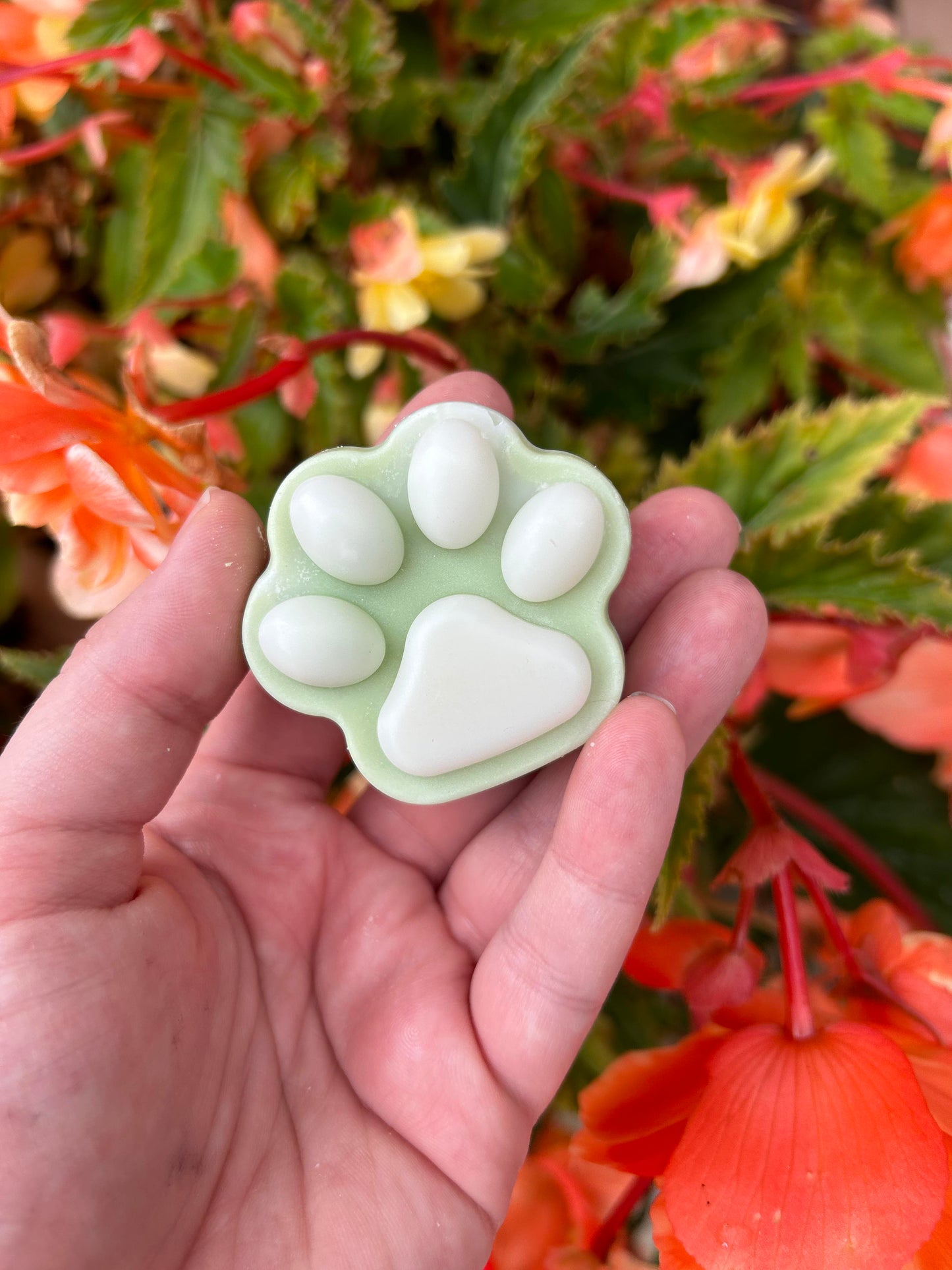 Paw Print Pet Odorizer