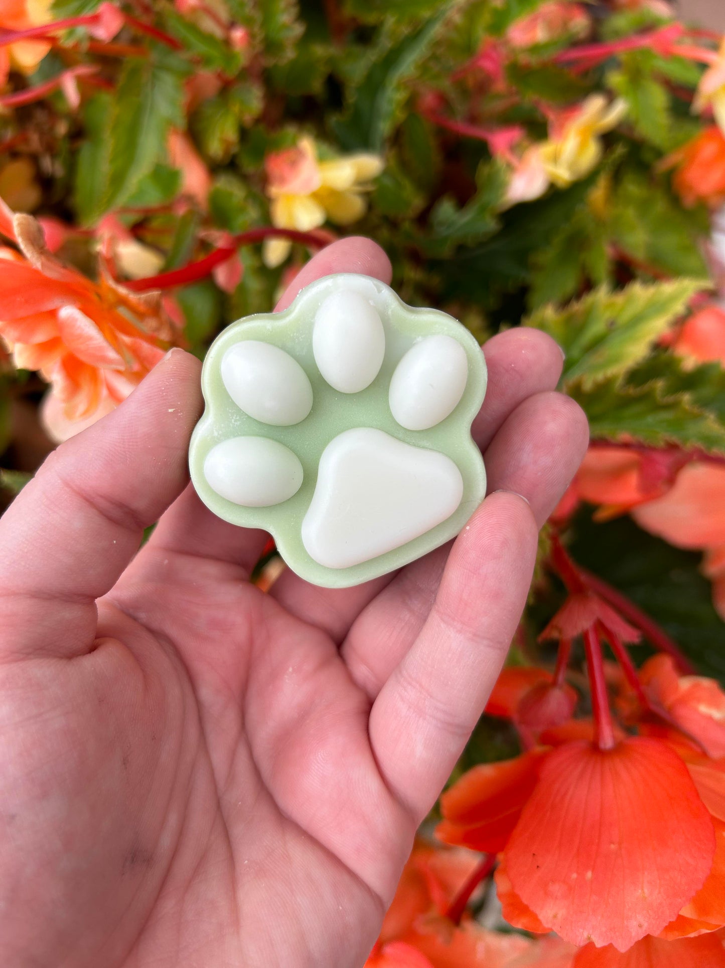 Paw Print Pet Odorizer