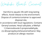 Waikiki Beach Coconut