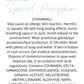 Spiced Pumpkin